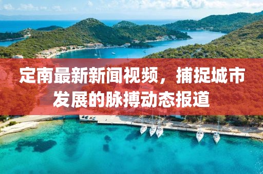 定南最新新闻视频，捕捉城市发展的脉搏动态报道