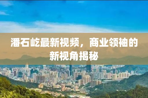 潘石屹最新视频，商业领袖的新视角揭秘