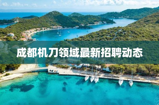 成都机刀领域最新招聘动态