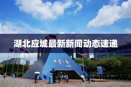 湖北应城最新新闻动态速递