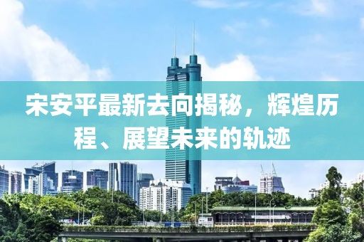 宋安平最新去向揭秘，辉煌历程、展望未来的轨迹