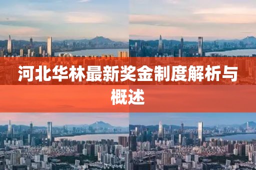 河北华林最新奖金制度解析与概述