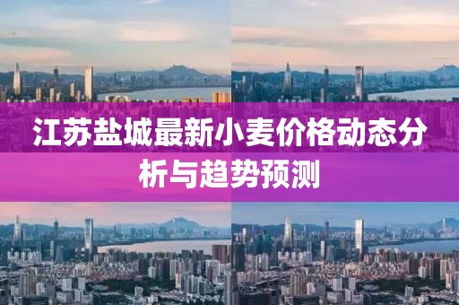 江苏盐城最新小麦价格动态分析与趋势预测