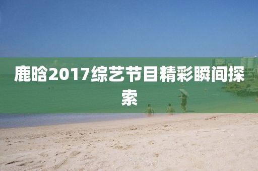 鹿晗2017综艺节目精彩瞬间探索