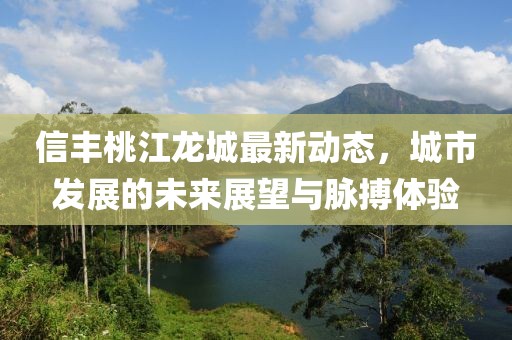 信丰桃江龙城最新动态，城市发展的未来展望与脉搏体验