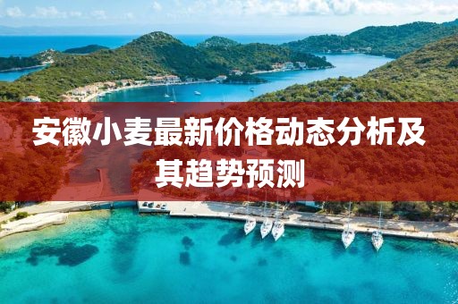 安徽小麦最新价格动态分析及其趋势预测