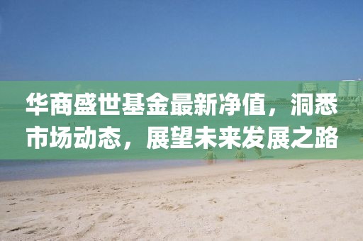 华商盛世基金最新净值，洞悉市场动态，展望未来发展之路