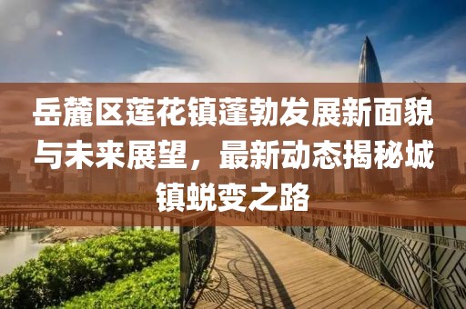 岳麓区莲花镇蓬勃发展新面貌与未来展望，最新动态揭秘城镇蜕变之路