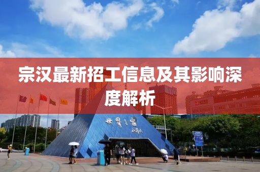宗汉最新招工信息及其影响深度解析