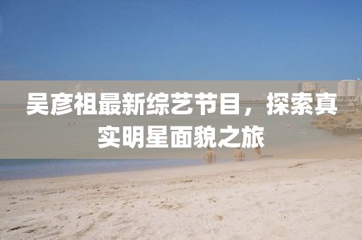 吴彦祖最新综艺节目，探索真实明星面貌之旅