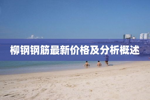 柳钢钢筋最新价格及分析概述