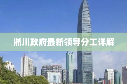 淅川政府最新领导分工详解