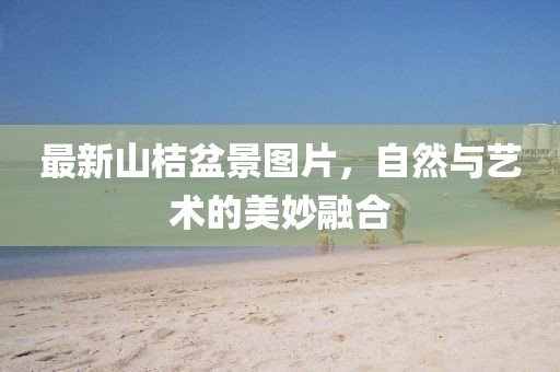 最新山桔盆景图片，自然与艺术的美妙融合