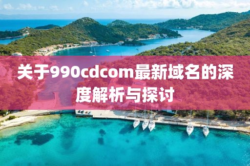 关于990cdcom最新域名的深度解析与探讨