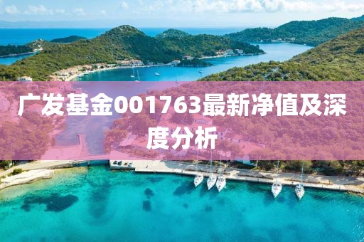 广发基金001763最新净值及深度分析