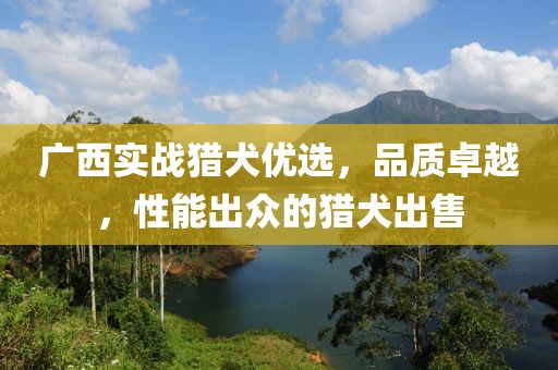 广西实战猎犬优选，品质卓越，性能出众的猎犬出售
