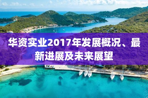 华资实业2017年发展概况、最新进展及未来展望