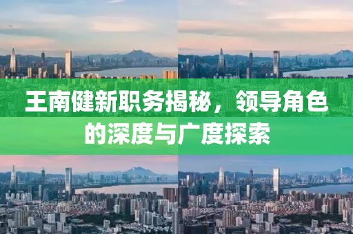 王南健新职务揭秘，领导角色的深度与广度探索