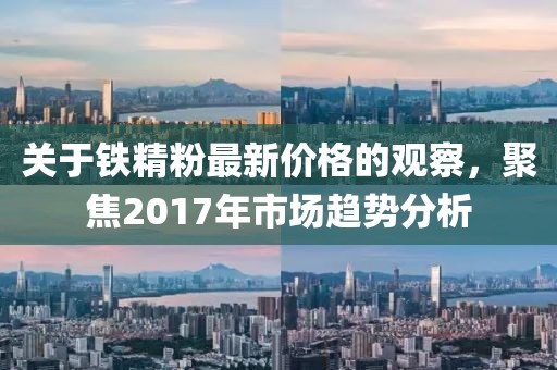 关于铁精粉最新价格的观察，聚焦2017年市场趋势分析