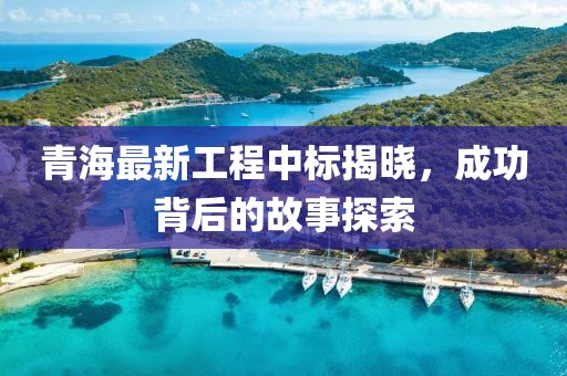 青海最新工程中标揭晓，成功背后的故事探索