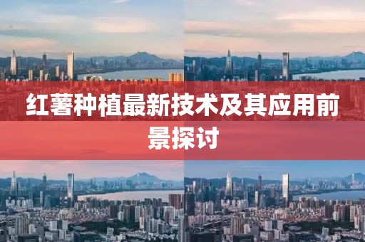 红薯种植最新技术及其应用前景探讨