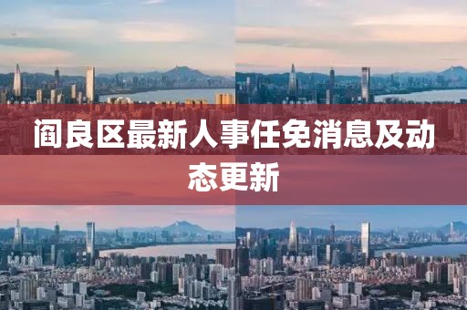 阎良区最新人事任免消息及动态更新