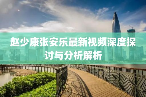 赵少康张安乐最新视频深度探讨与分析解析
