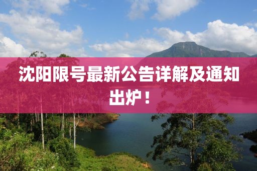沈阳限号最新公告详解及通知出炉！