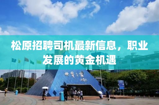 再回首 第12页
