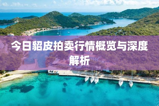 今日貂皮拍卖行情概览与深度解析