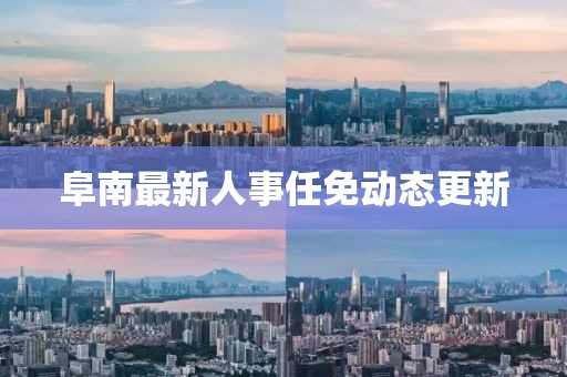 阜南最新人事任免动态更新
