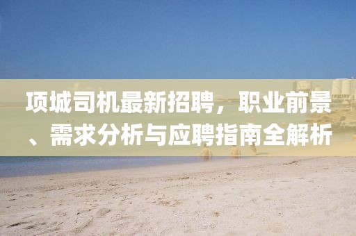 项城司机最新招聘，职业前景、需求分析与应聘指南全解析