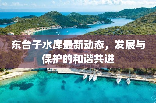 东台子水库最新动态，发展与保护的和谐共进
