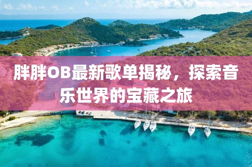 胖胖OB最新歌单揭秘，探索音乐世界的宝藏之旅