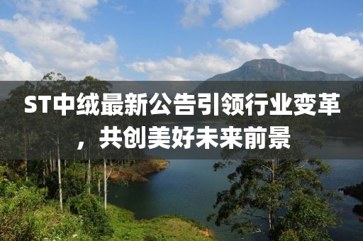 ST中绒最新公告引领行业变革，共创美好未来前景