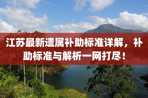 江苏最新遗属补助标准详解，补助标准与解析一网打尽！