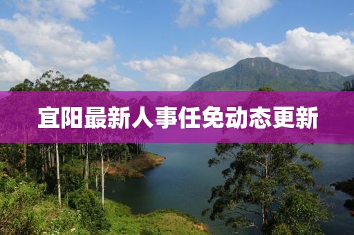 宜阳最新人事任免动态更新