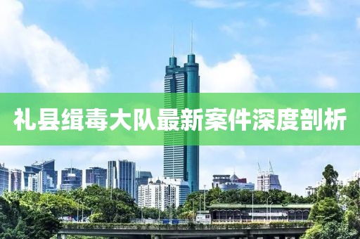 礼县缉毒大队最新案件深度剖析