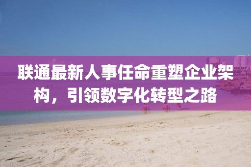 联通最新人事任命重塑企业架构，引领数字化转型之路