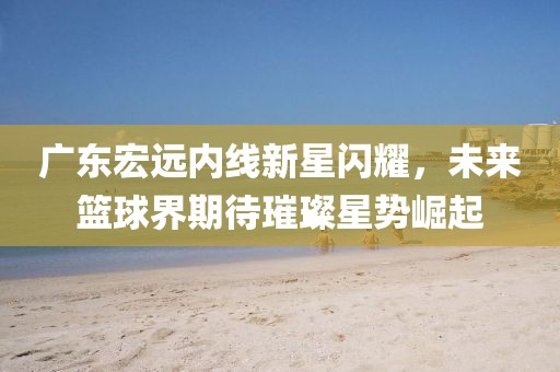 广东宏远内线新星闪耀，未来篮球界期待璀璨星势崛起