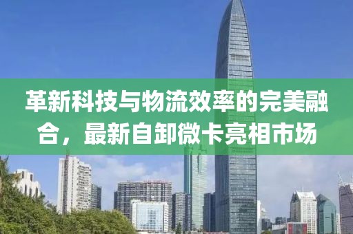 革新科技与物流效率的完美融合，最新自卸微卡亮相市场