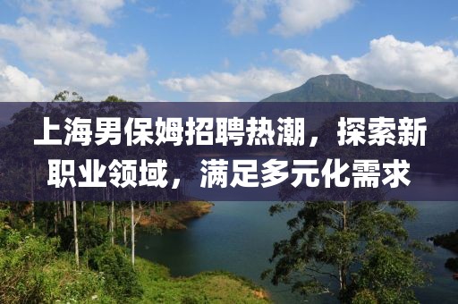 上海男保姆招聘热潮，探索新职业领域，满足多元化需求