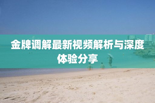 金牌调解最新视频解析与深度体验分享