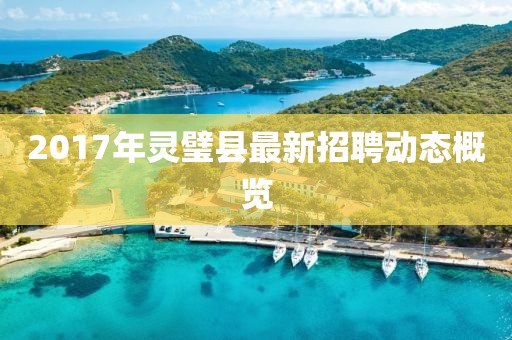 2017年灵璧县最新招聘动态概览