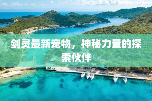 剑灵最新宠物，神秘力量的探索伙伴