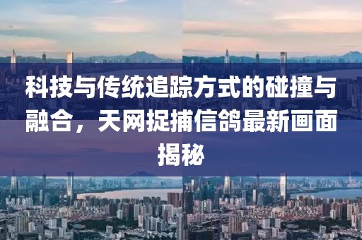 科技与传统追踪方式的碰撞与融合，天网捉捕信鸽最新画面揭秘
