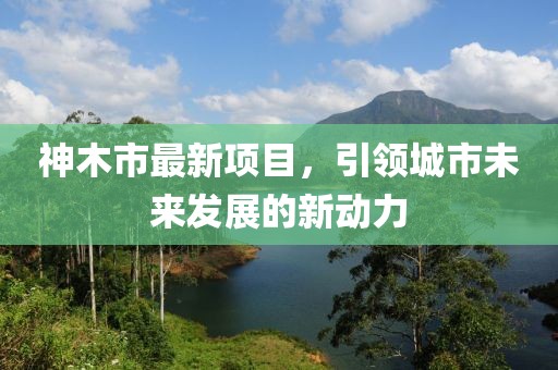 神木市最新项目，引领城市未来发展的新动力