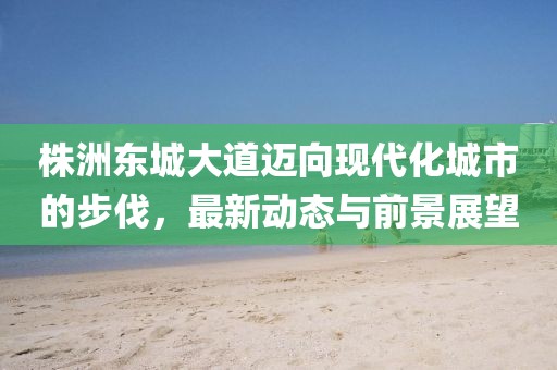 株洲东城大道迈向现代化城市的步伐，最新动态与前景展望