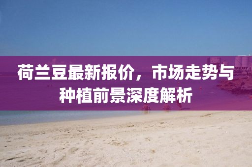 荷兰豆最新报价，市场走势与种植前景深度解析