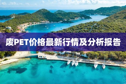 钱多多 第11页